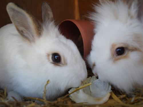 DSC03080_1537 DSC03080_1537