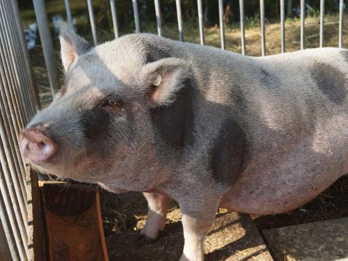 DSC03034_1536 DSC03034_1536