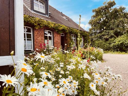 Bauernhaus Bauernhaus