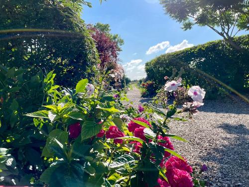 Blumenparadis am Hof Blumenparadis am Hof