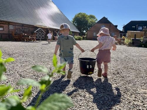 Meerschweinchentaxi für die Minis Meerschweinchentaxi für die Minis