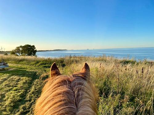 Natur genießen Natur genießen