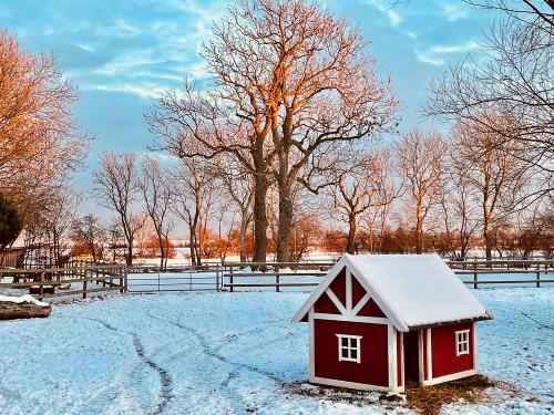Winterzeit auf der Määhkoppel Winterzeit auf der Määhkoppel