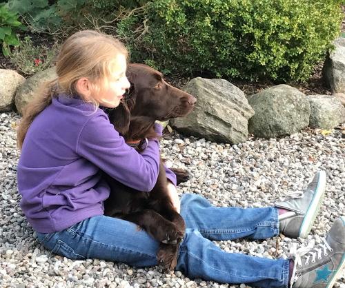 familiemithund1