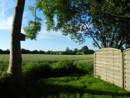 Marienhaus Garten