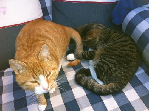Micky und Milow