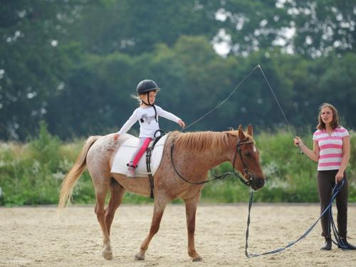 Ponyführen