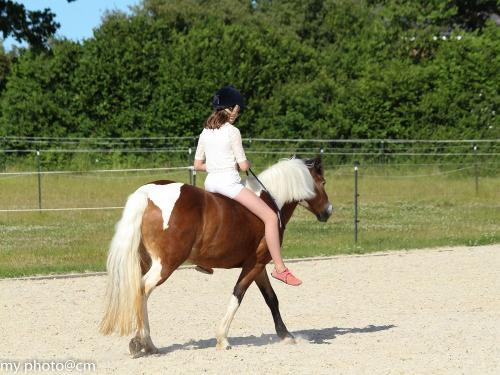 Luna und Ihre Ferienkinder