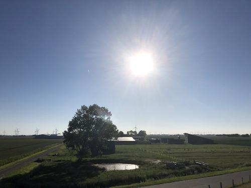 Blick vom Deich zum Hof