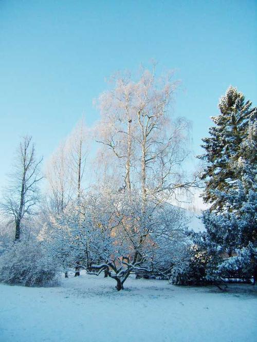 Winter