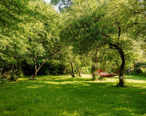 Ihr Garten