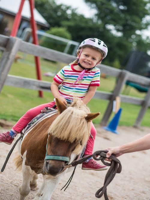 Reiten
