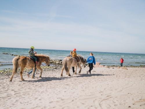 Ausritt am Strand Ausritt am Strand