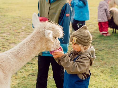 Futterzeit Futterzeit