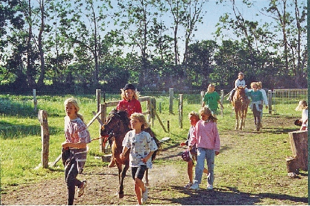 Ponyreiten