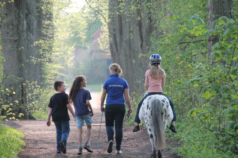 Sparziergang mit Pony in den Wald