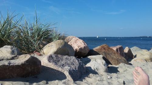 Westerholz