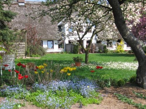 Im Garten