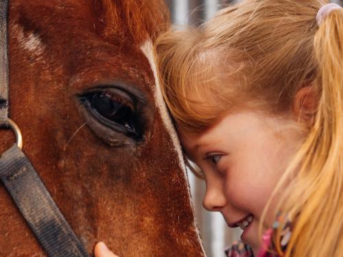 Bauernhof Lafrenz - Fehmarn mit Kindern