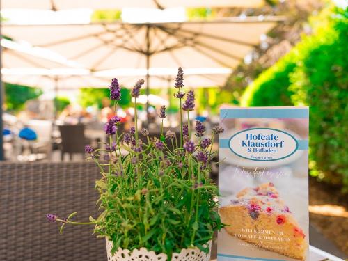 Wellnessbauernhof Lafrenz auf Fehmarn - Frühstück im Hofcafé Klausdorf-9