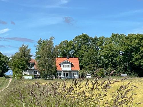 img_1740