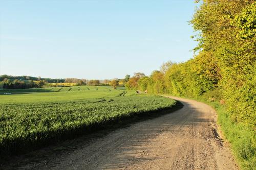 Umgebung