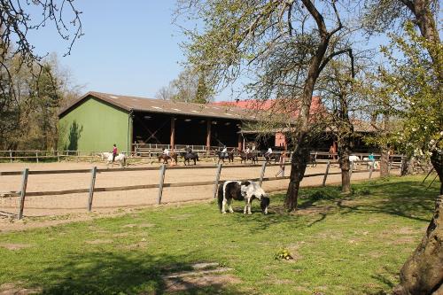 Reitplatz mit Halle und Ponystall