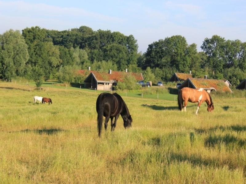 9 Ferienhäuser an der Ponykoppel