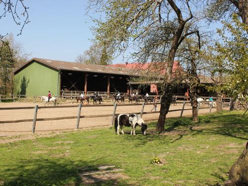 Reitplatz mit Halle und Ponystall