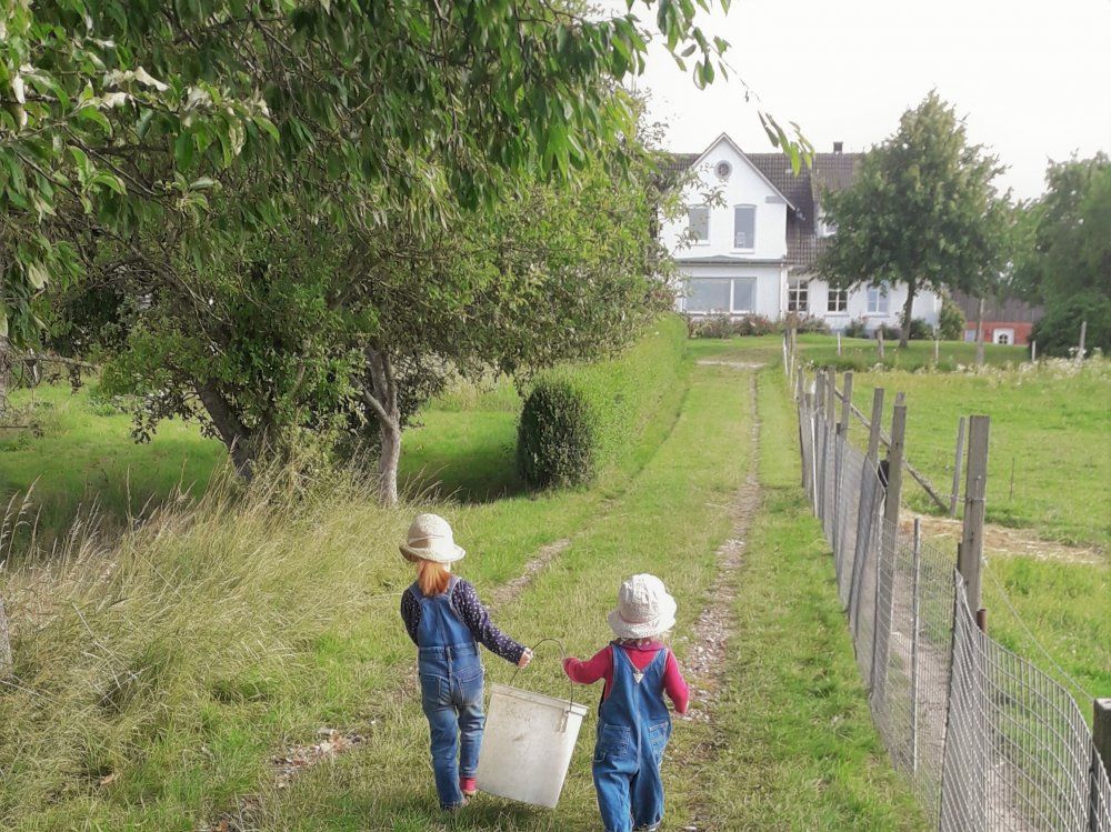 Frühsommer
