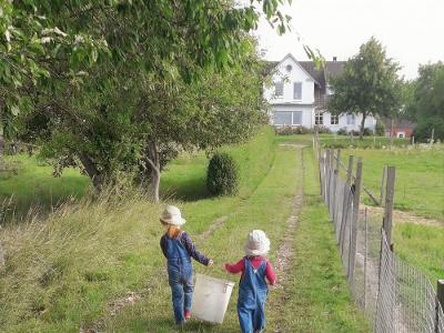 Frühsommer