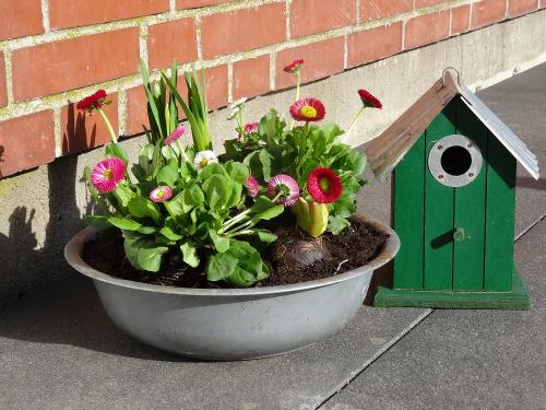 Frühling