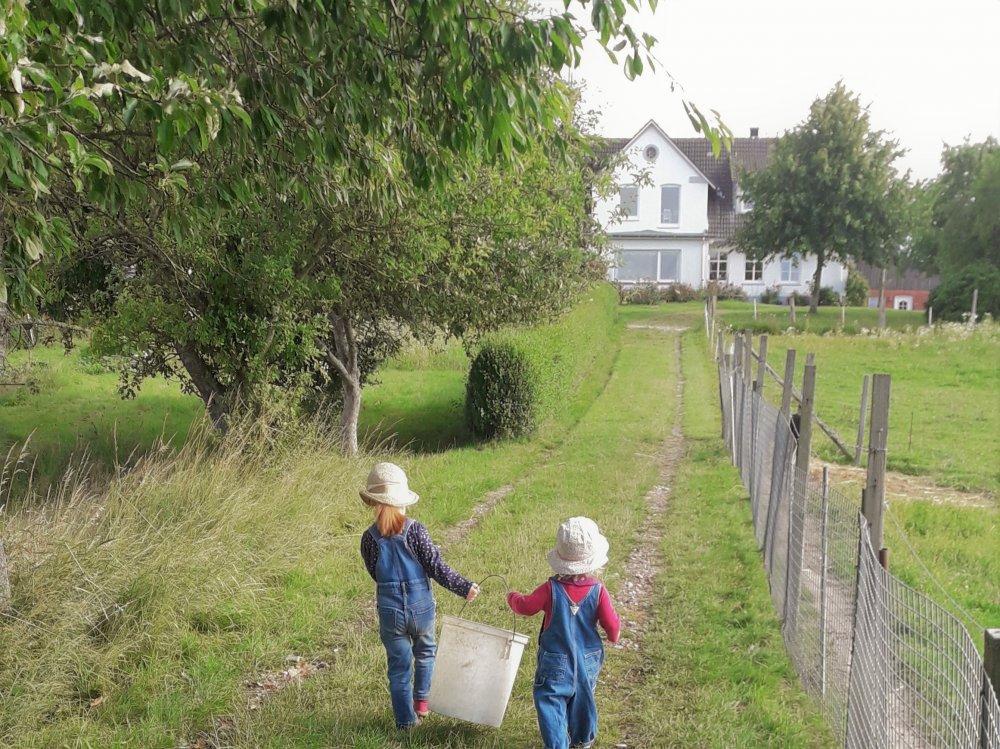 Frühsommer Frühsommer