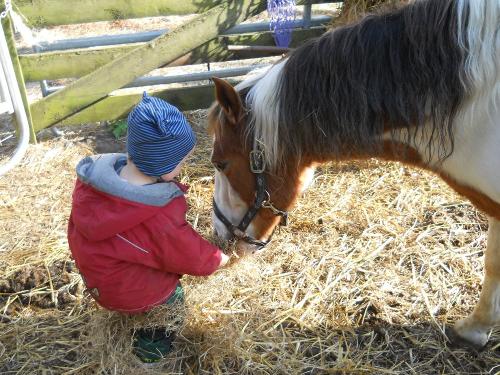 Kind mit Pferd
