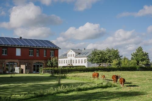 Gutshaus und Weide