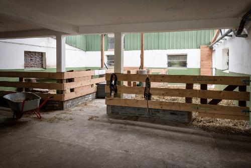Pony- und Ziegenstall