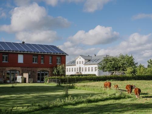 Gutshaus und Weide