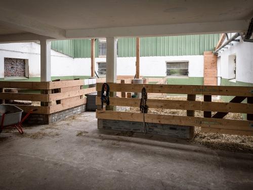 Pony- und Ziegenstall