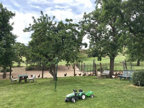 Garten mit Liegewiese