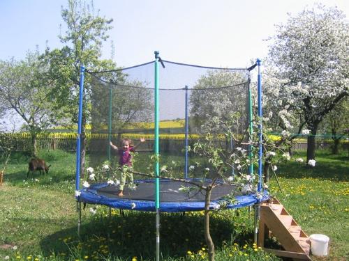 Trampolin im Garten