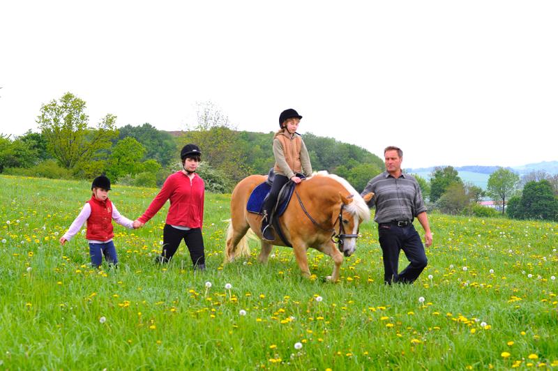 Geführtes Ponyreiten