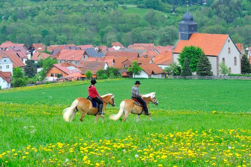 Reiter auf der Wiese