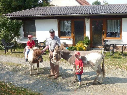 Ponyreiten im Familienurlaub
