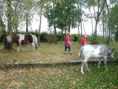 Kinder mit Pony & Esel
