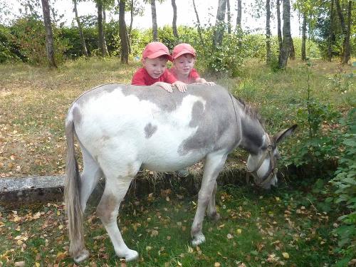 Unterwegs mit dem Esel
