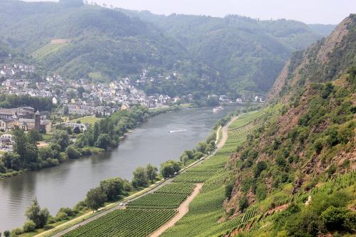 Mosel-Landschaft