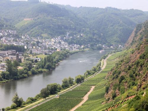 Mosel-Landschaft
