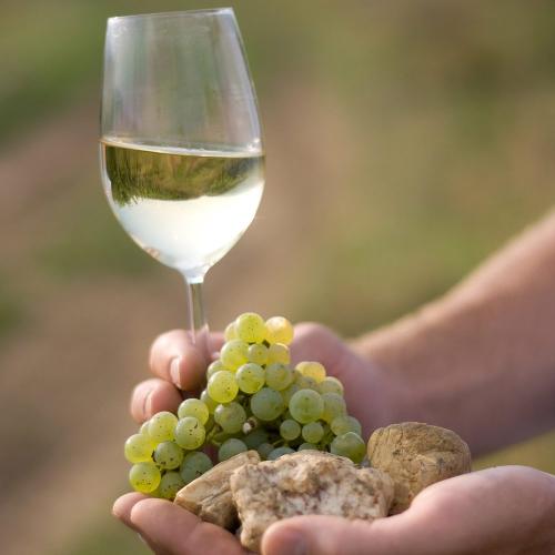 Unser Nahewein