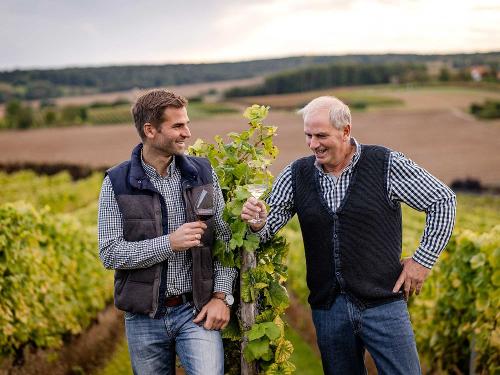 Winzermeister im Weinberg