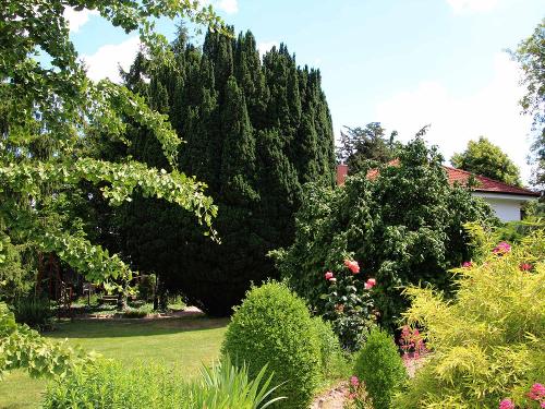 Garten im Bio-Weingut in Flomborn
